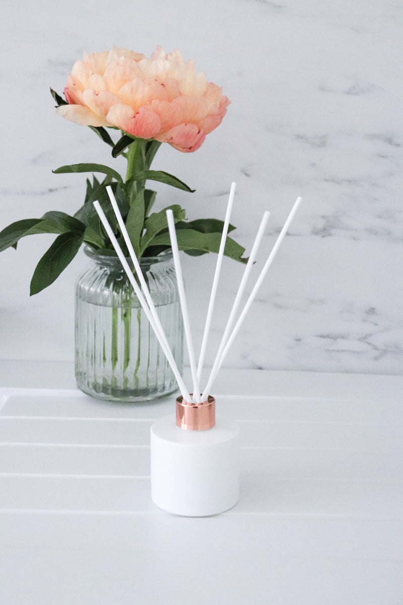 Toaparfüümi lisapulgad (6tk)