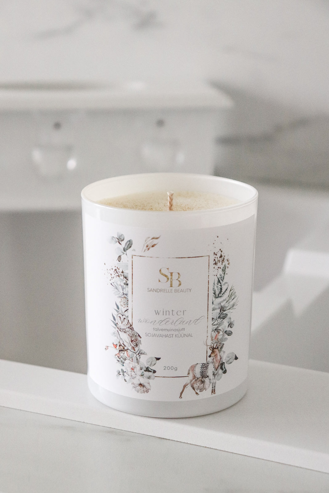 Winter Wonderland "Talvemuinasjutt"